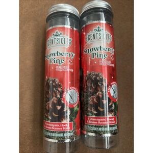 Scentsicles Scented Ornament Sticks Snowberry Pine Lot of‎ 2